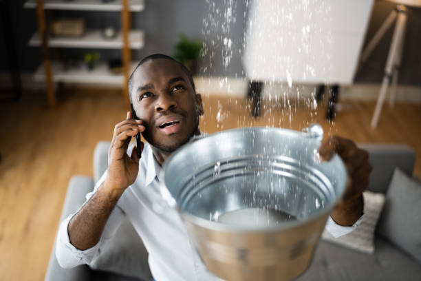 Best Water damage restoration company  in Bellefontaine, OH