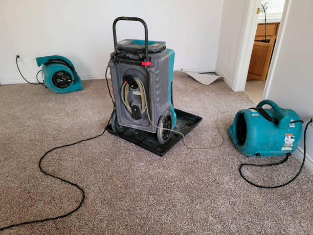 Professional Water damage restoration in Bellefontaine, OH