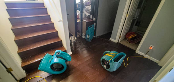 Best Flood restoration services  in Bellefontaine, OH