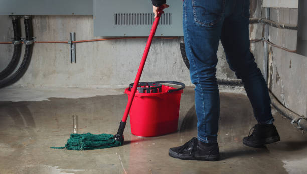 Best Water damage restoration near me  in Bellefontaine, OH