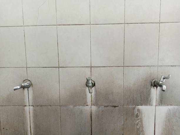 Best Water damage restoration services  in Bellefontaine, OH