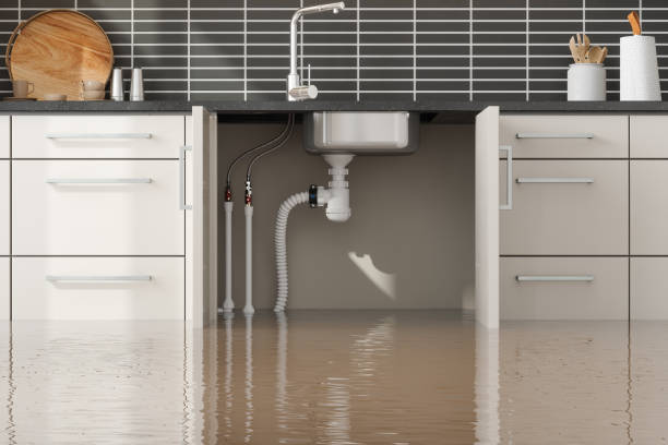 Best Professional water damage repair  in Bellefontaine, OH