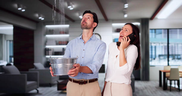 Best Water damage cleanup near me  in Bellefontaine, OH
