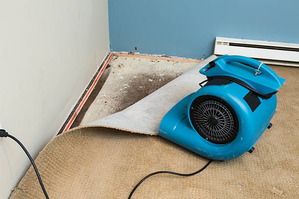 Best Fire Damage Restoration  in Bellefontaine, OH